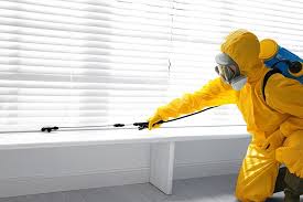 Best Pest Control for Restaurants and Food Service  in Avondale, AZ